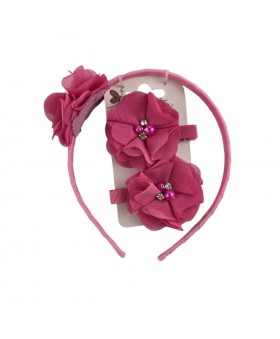 Set de diadema y 2 pinzas...